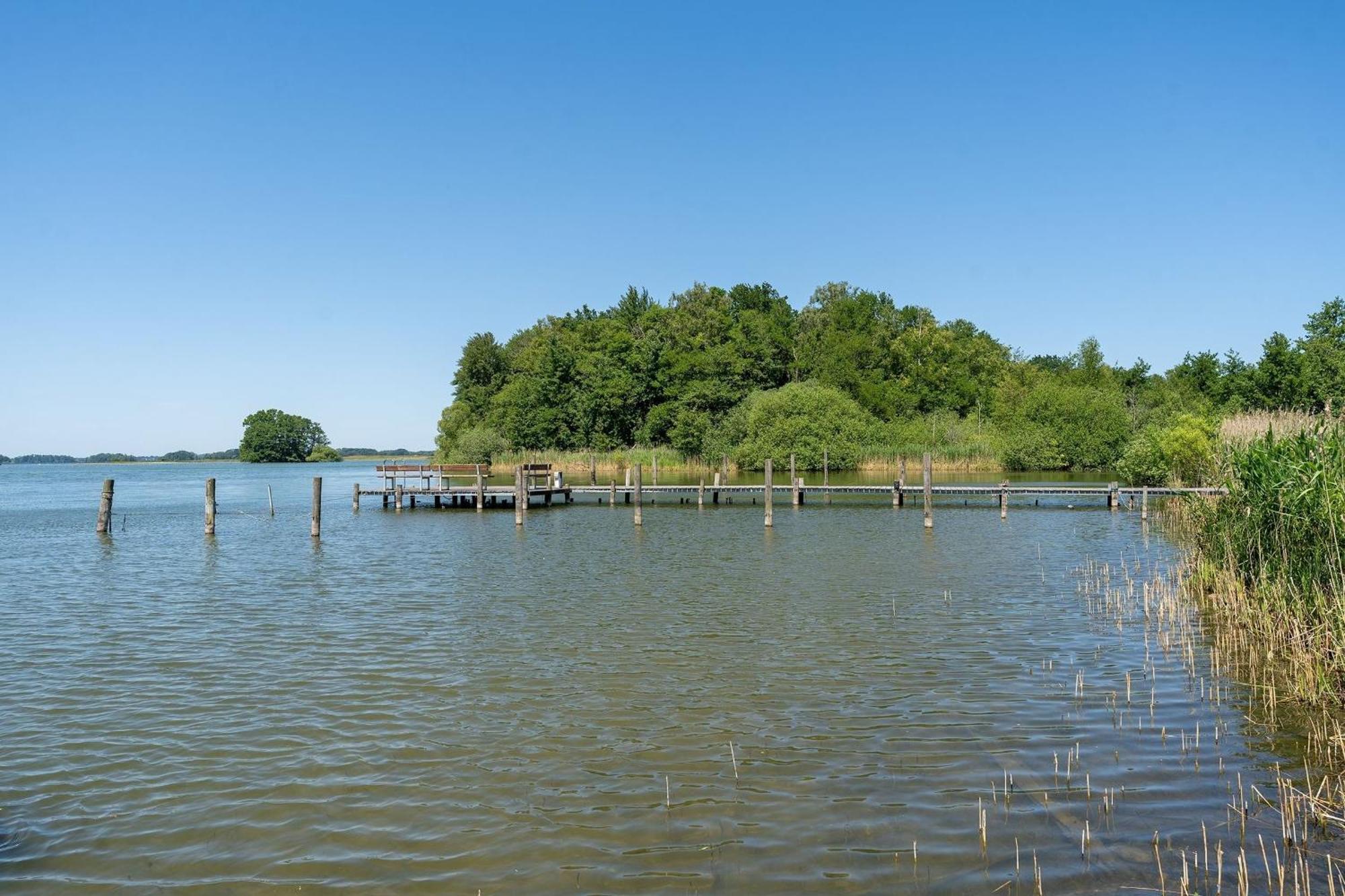 Haus Schwanensee Seeblick Bischofsee Bosau Kültér fotó